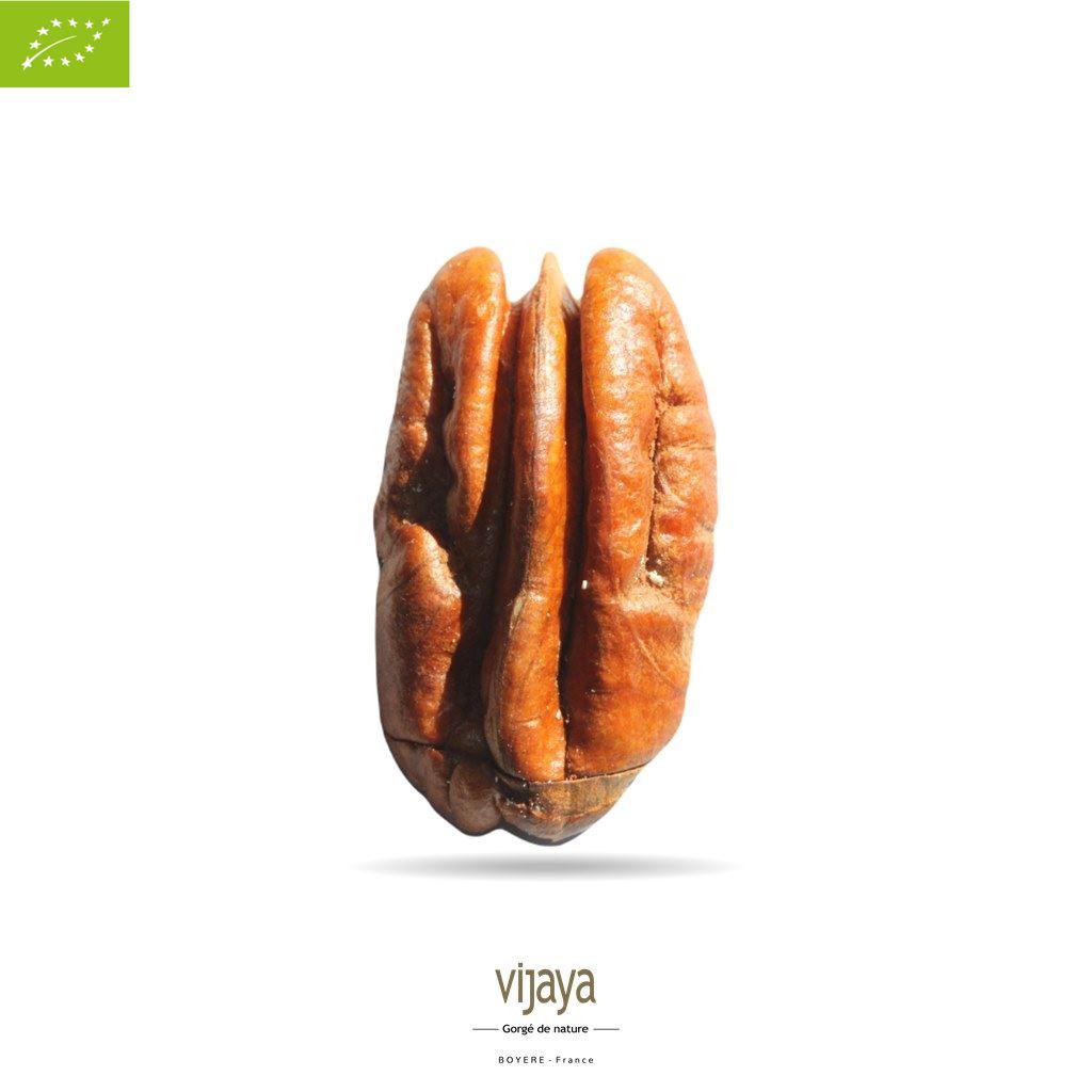 Vijaya